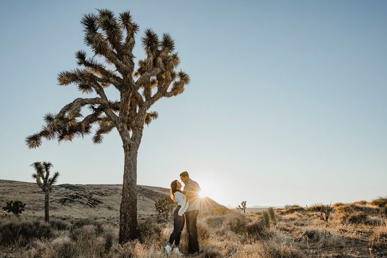 Joshua tree elopement photographer